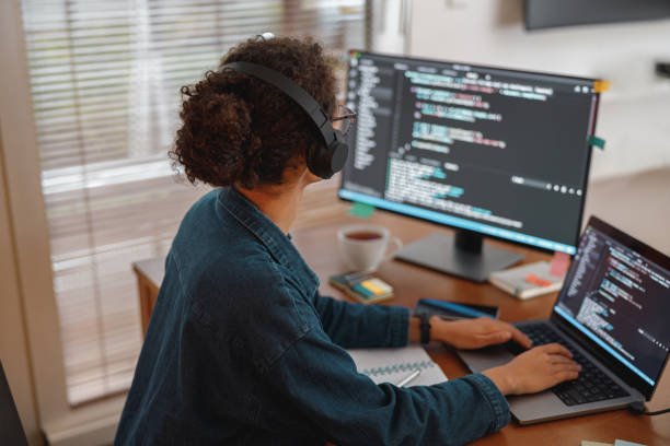 Freelance Programmer